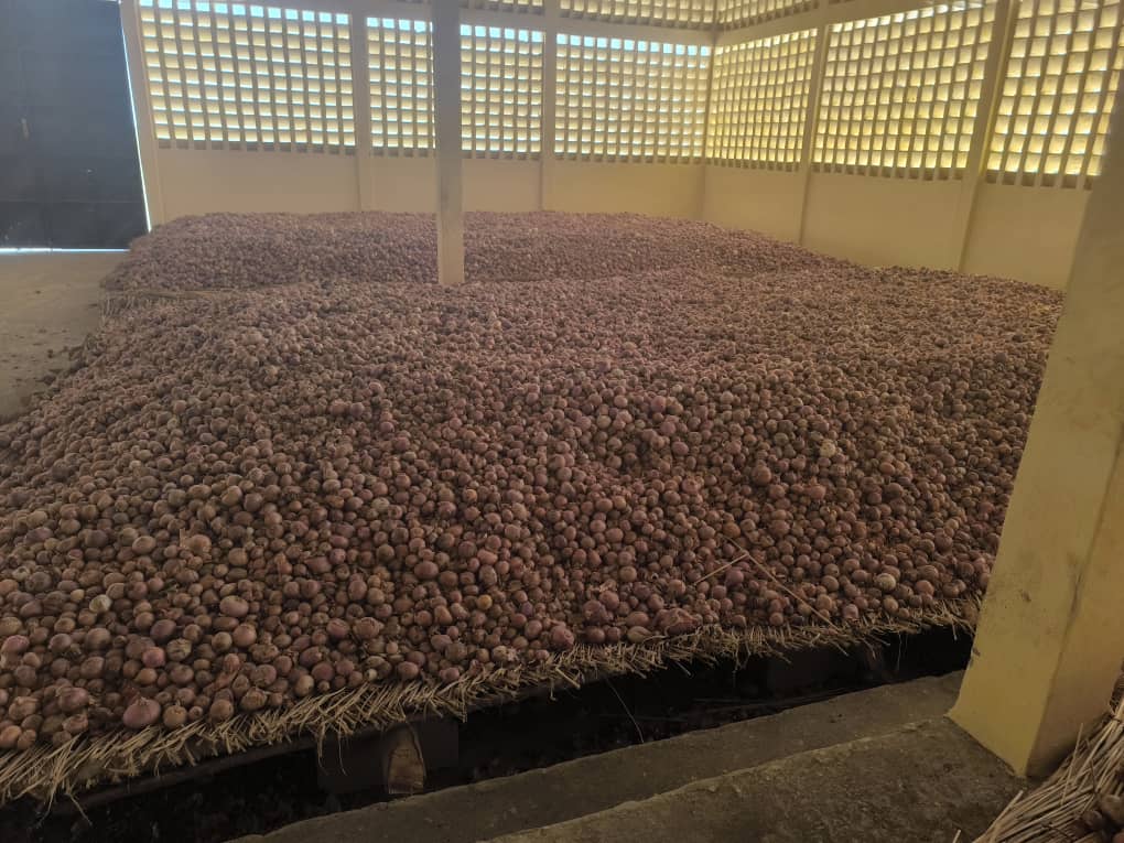 Magasin de stockage des oignons construit dans le cadre du projet de développement agricole.